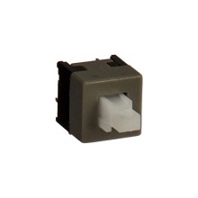 DPDT 2 Pin Button Switch