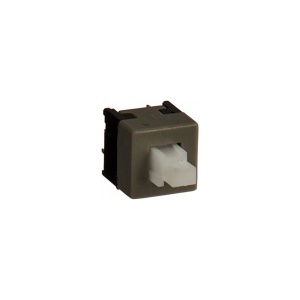 DPDT 2 Pin Button Switch