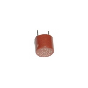 Radial Quick Blow Fuse 0.25A