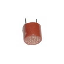 Radial Quick Blow Fuse 0.25A